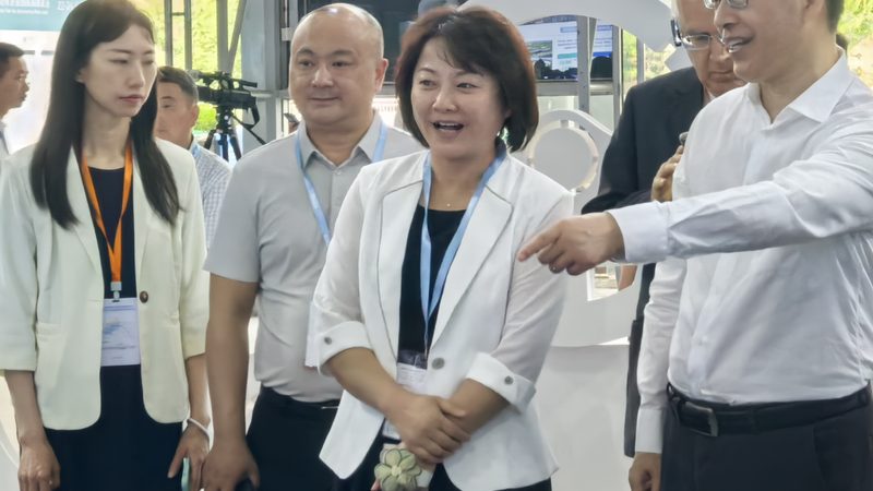 汽车电瓶批发价格：揭秘影响价格的关键因素